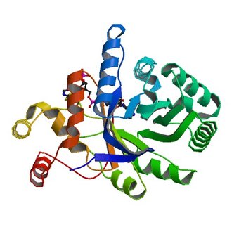 Crystal structure of aldo-keto reductase from Klebsiella pneumoniae in complex with NADPH. (6CIA)