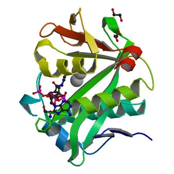 Crystal structure of a GNAT Superfamily PA3944 acetyltransferase in complex with CoA (P1 space group) (6EDD)