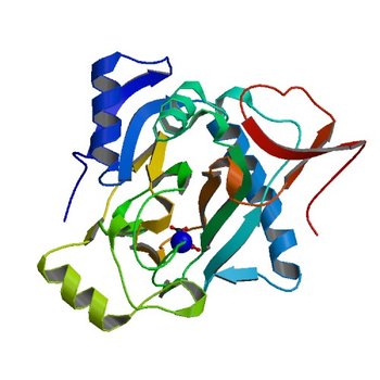 The crystal structure of kanamycin B dioxygenase (KanJ) from Streptomyces kanamyceticus in complex with nickel and 2-oxoglutarate (6S0U)