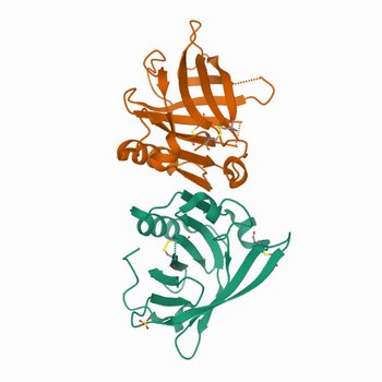 Beta-lactoglobulin mutant FAF (I56F/L39A/M107F), unliganded form (7Q18)